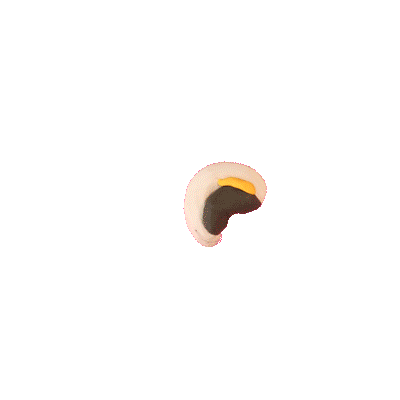 图标库 44