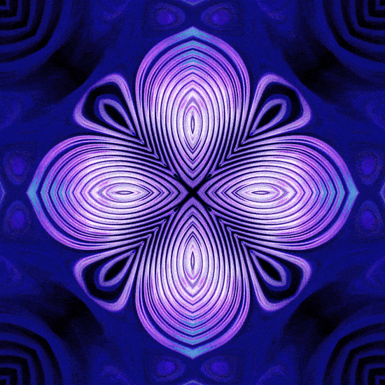 Mandala 293